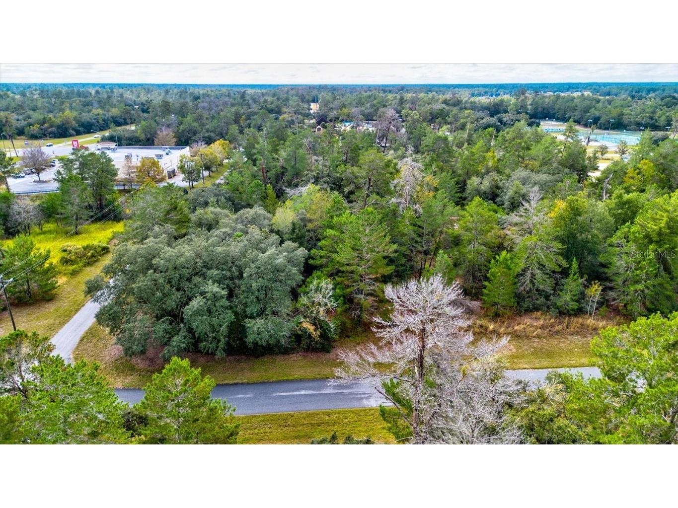 0 SW 148th Place Road Ocala FL 34473 T3488686 image44