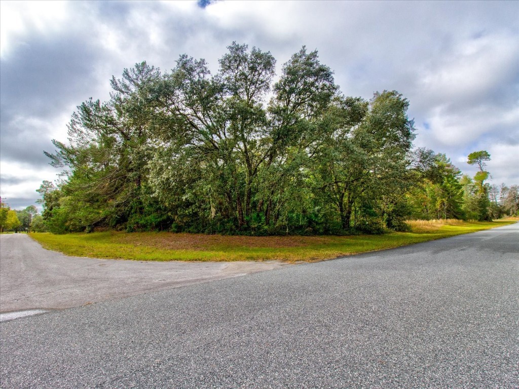 0 SW 148th Place Road Ocala FL 34473 T3488686 image45