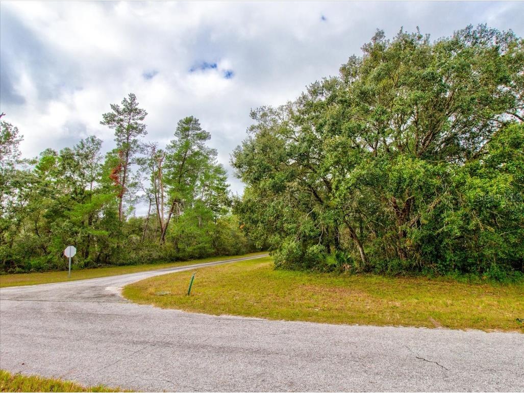 0 SW 148th Place Road Ocala FL 34473 T3488686 image49