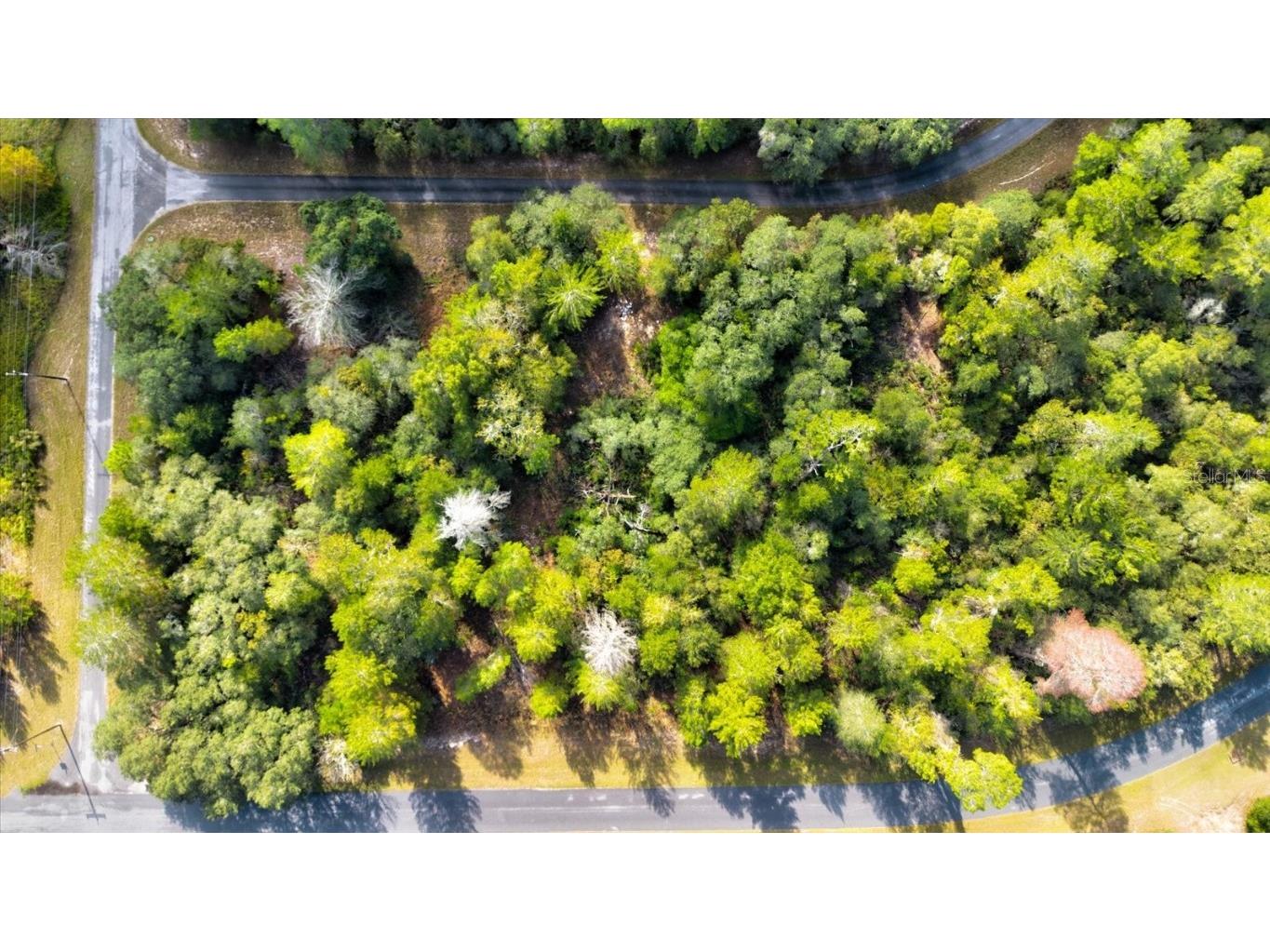 0 SW 148th Place Road Ocala FL 34473 T3488686 image5