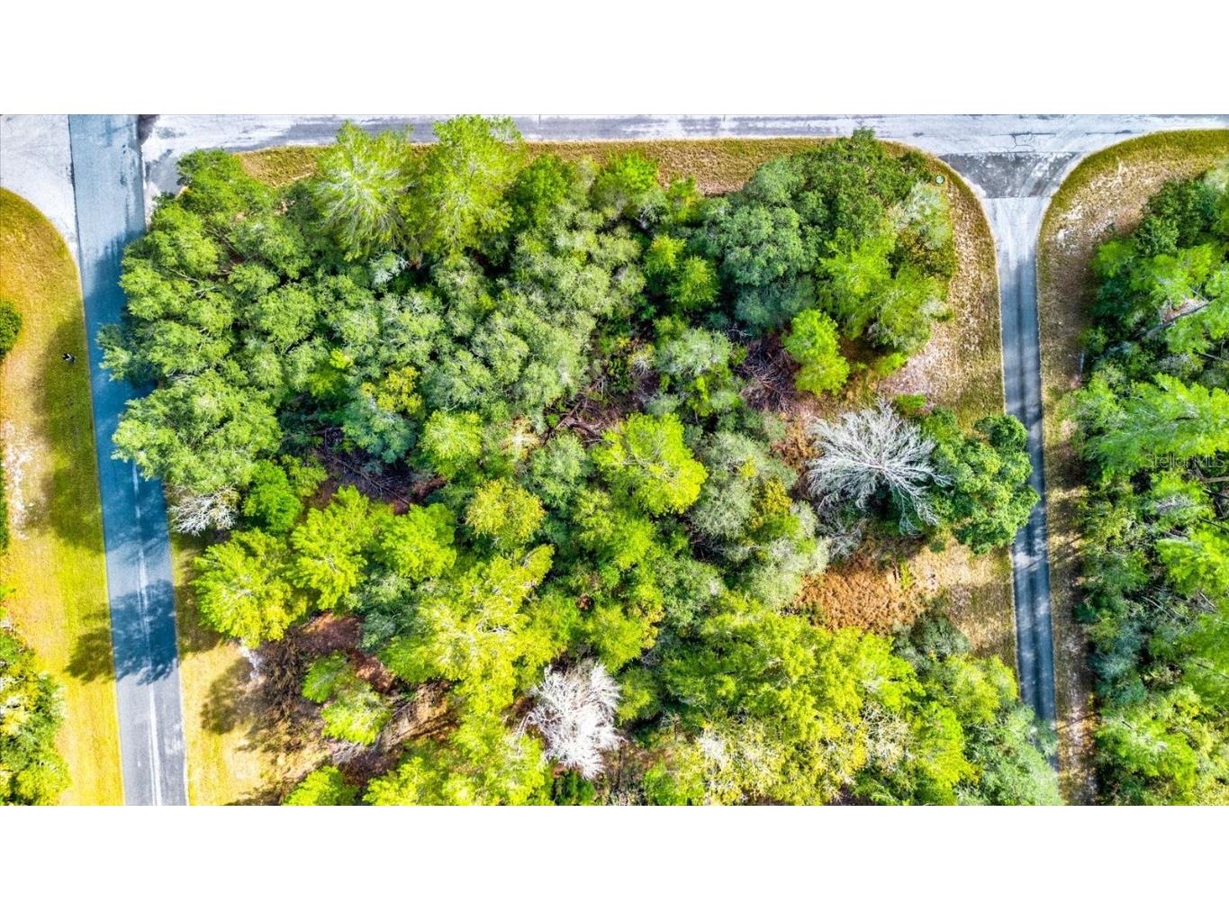 0 SW 148th Place Road Ocala FL 34473 T3488686 image6