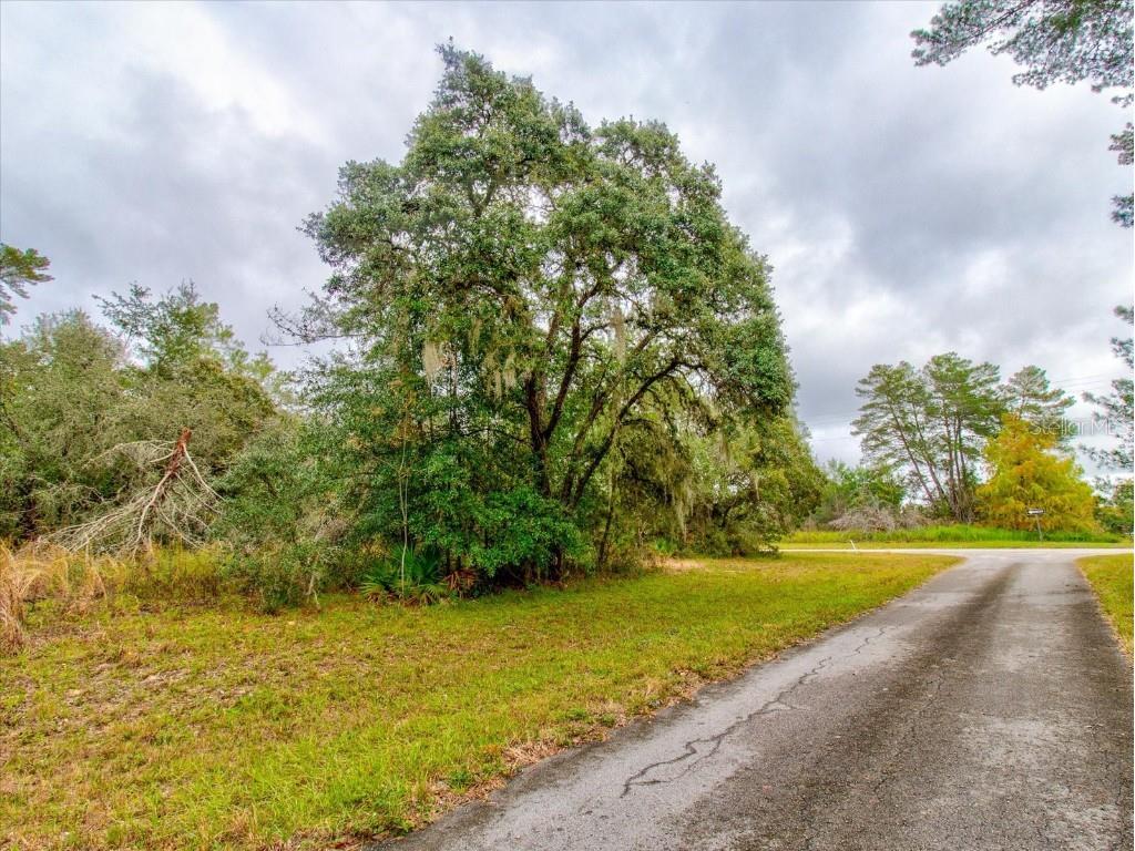 0 SW 148th Place Road Ocala FL 34473 T3488686 image8