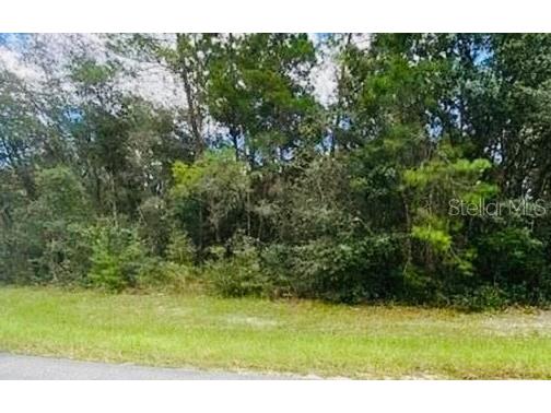 0 SW 149th Ln Road #9 Ocala FL 34476 G5067583 image1