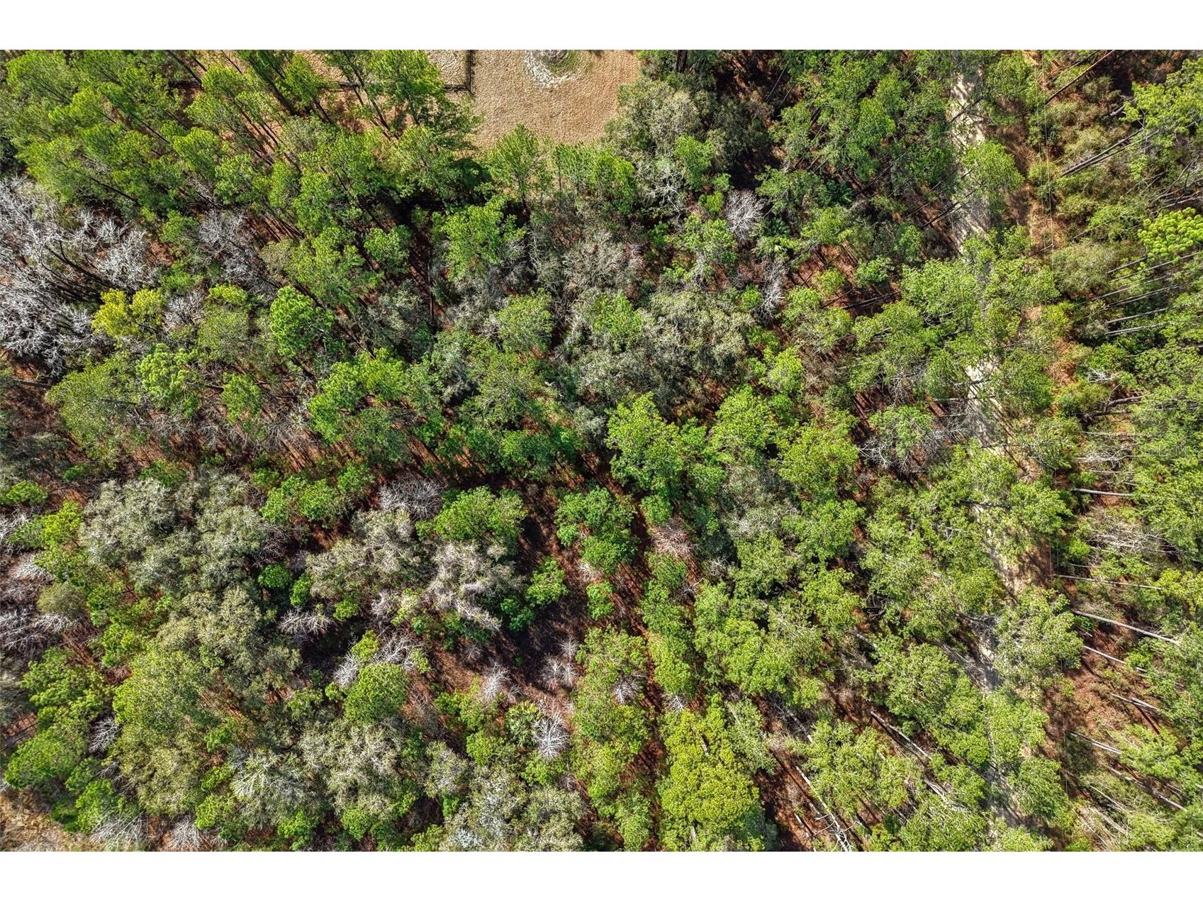 0 SW 150 Court Ocala FL 34481 OM719015 image10