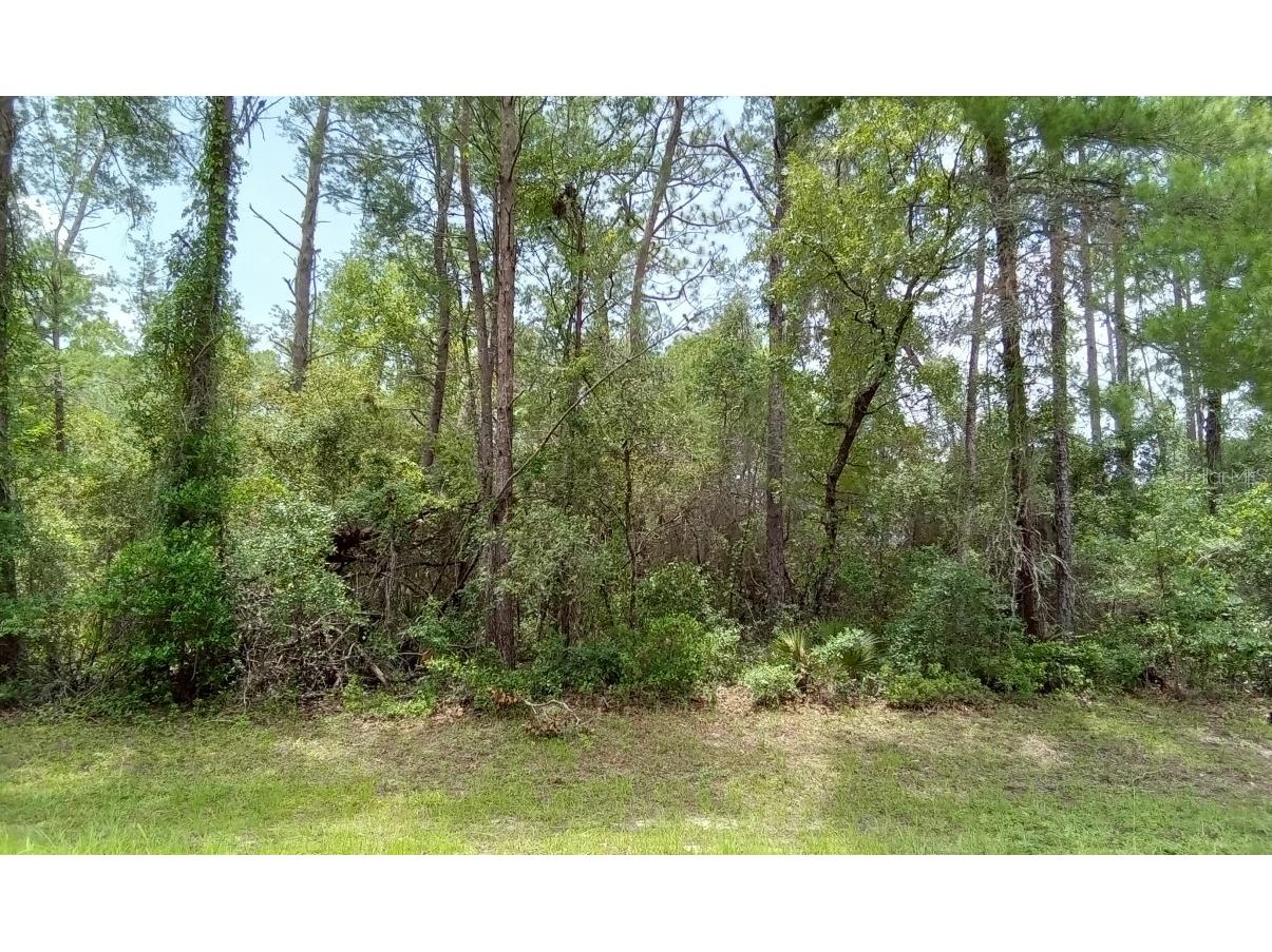 0 SW 151 Place Ocala FL 34473 O6133624 image1