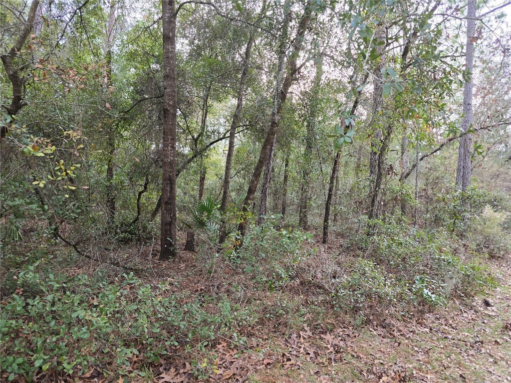 0 Sw 152 Pl Dunnellon FL 34432 OM691652 image1