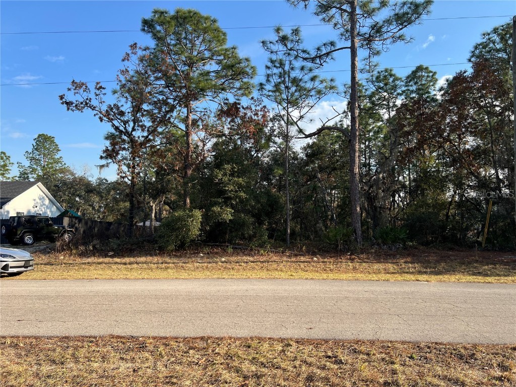 0 SW 152nd Street Ocala FL 34473 OM693720 image1