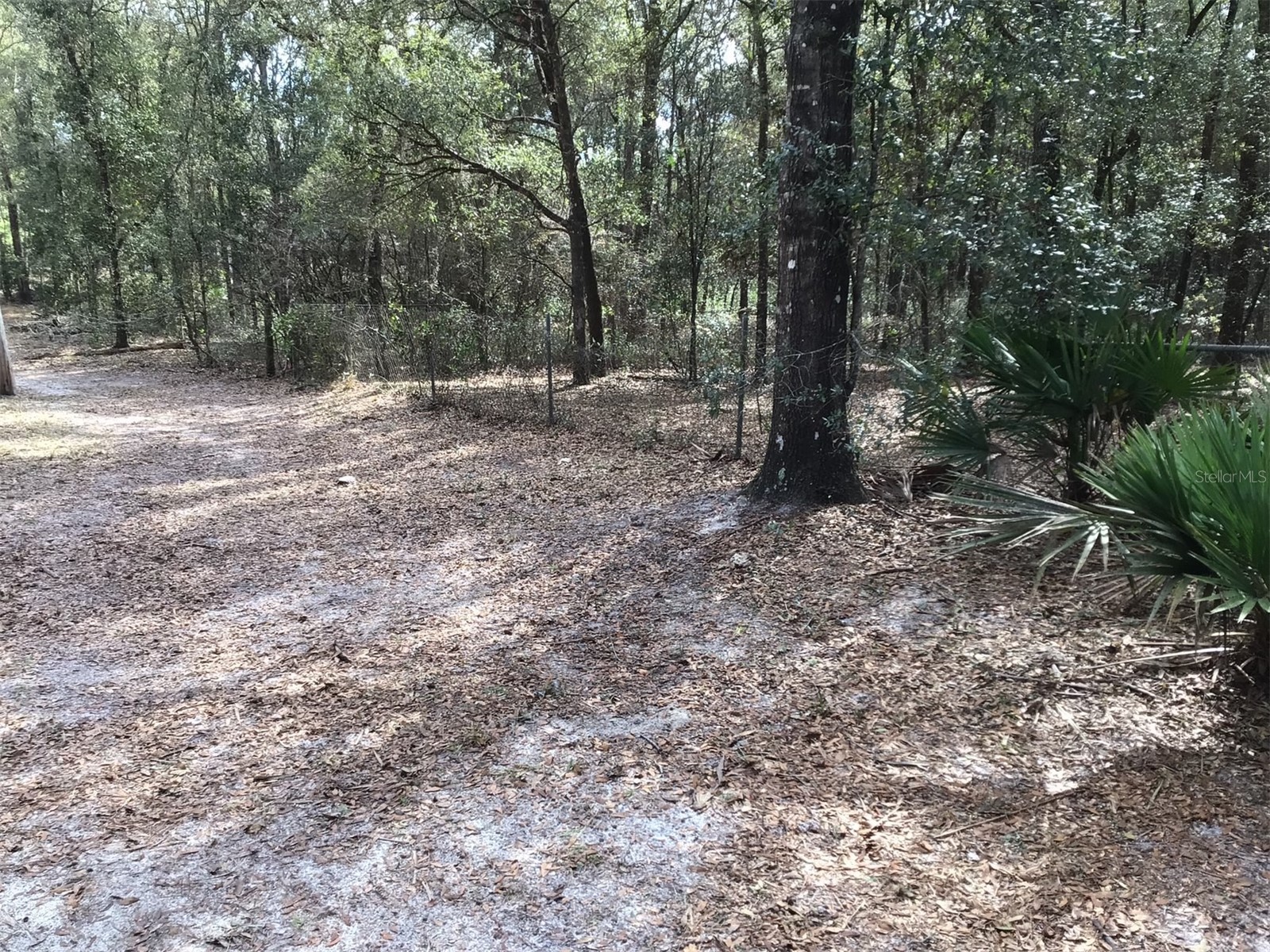 0 SW 153 Lane Dunnellon FL 34432 OM718520 image10