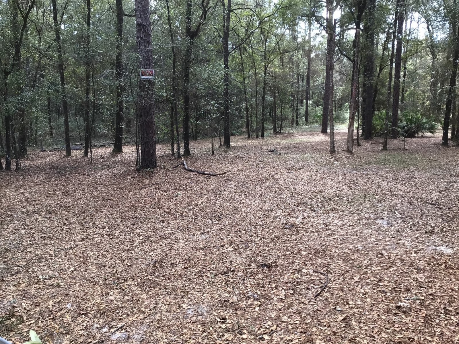 0 SW 153 Lane Dunnellon FL 34432 OM718520 image8