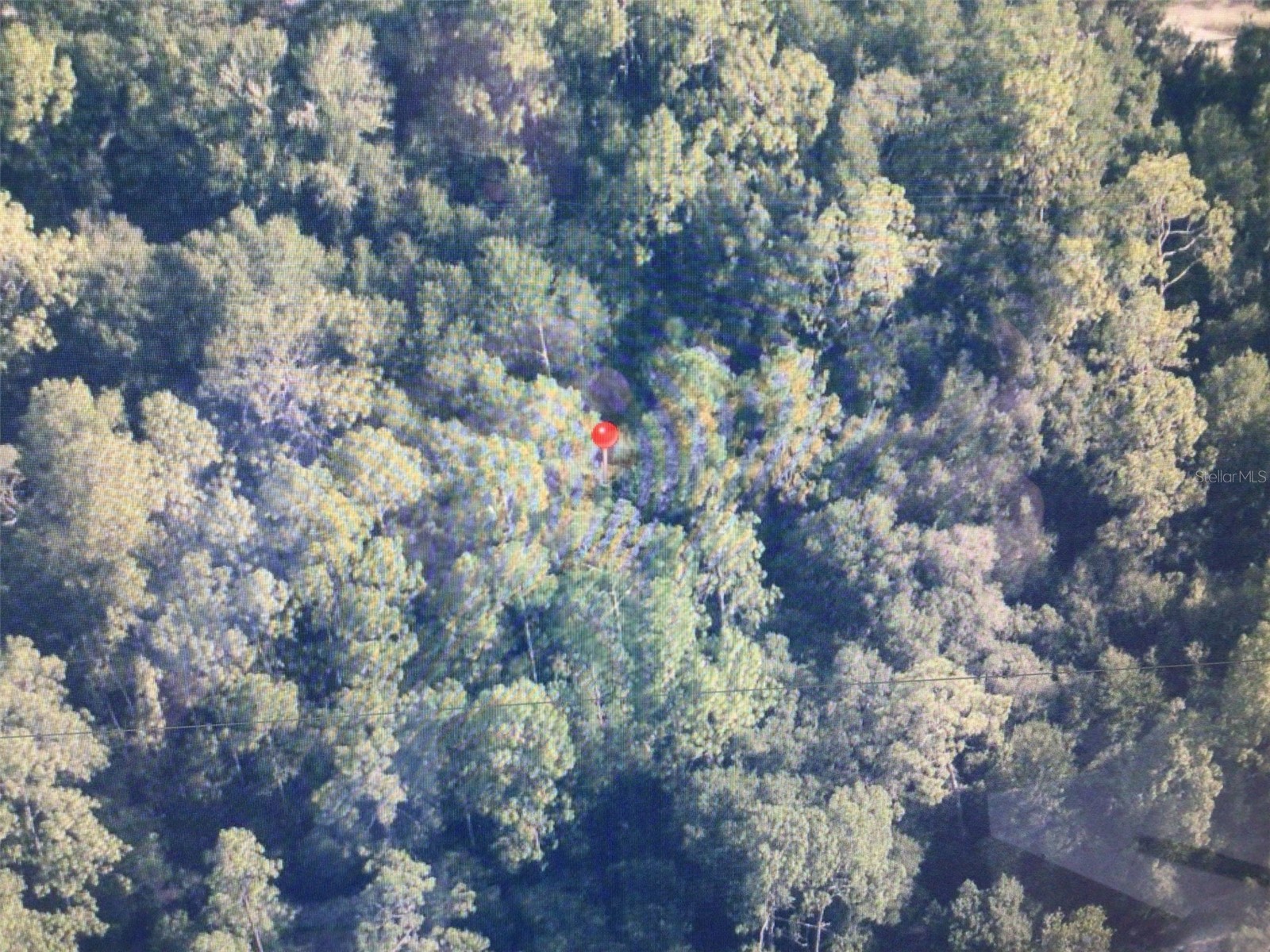 0 SW 153 Lane Dunnellon FL 34432 OM725870 image5