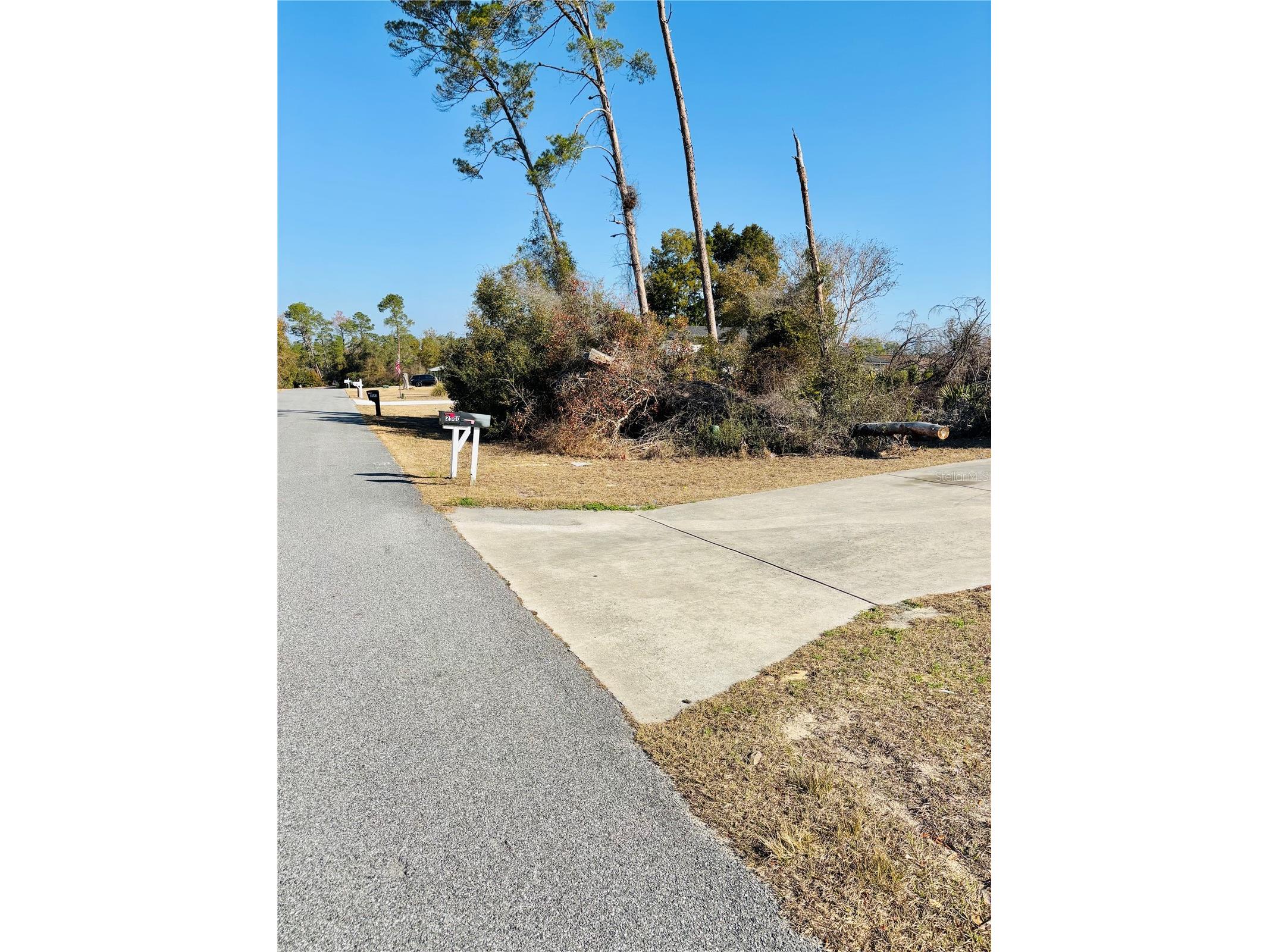 0 SW 153rd Place Road #3 Ocala FL 34473 OM718615 image8