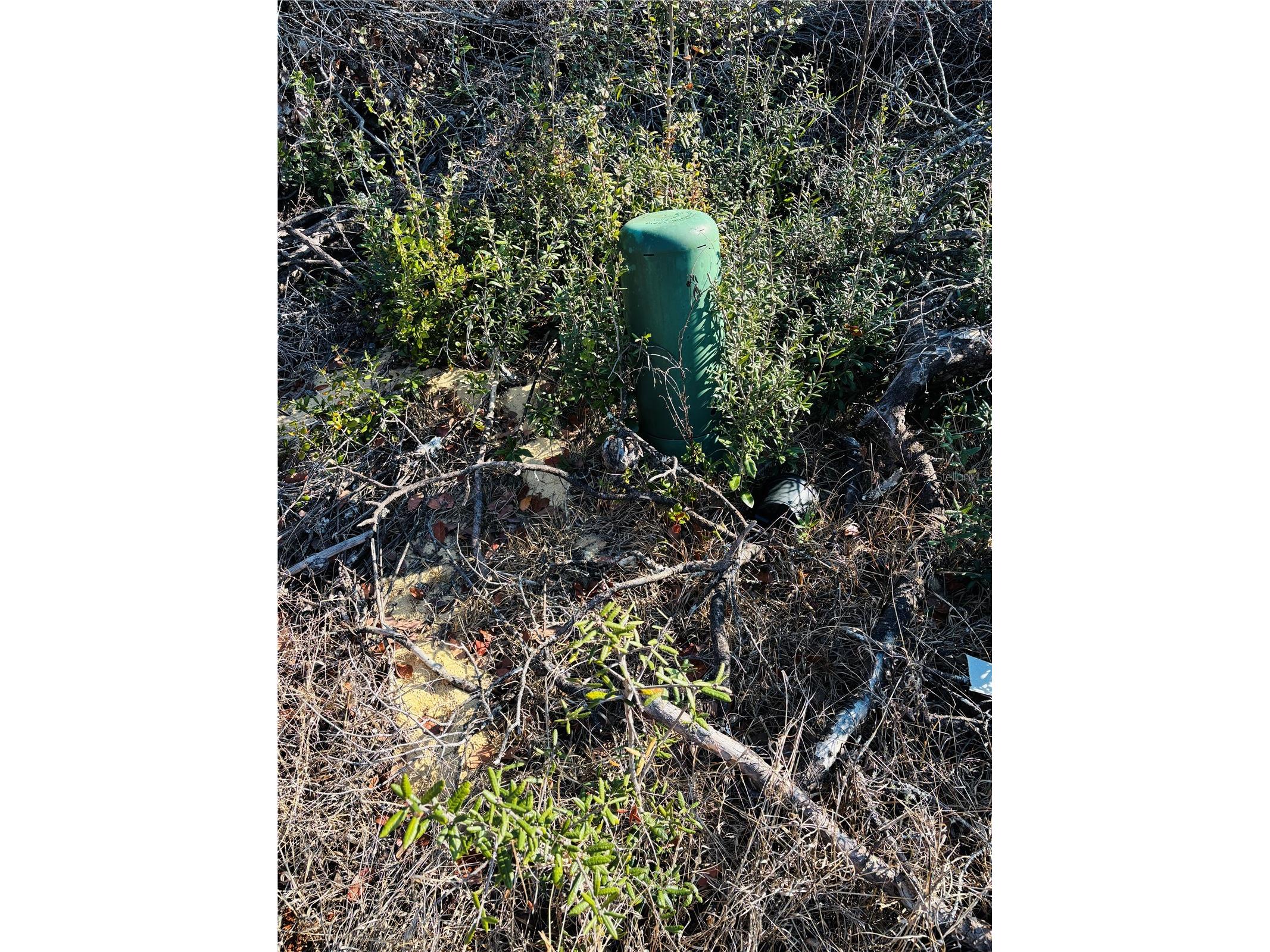 0 SW 153rd Place Road #3 Ocala FL 34473 OM718615 image9