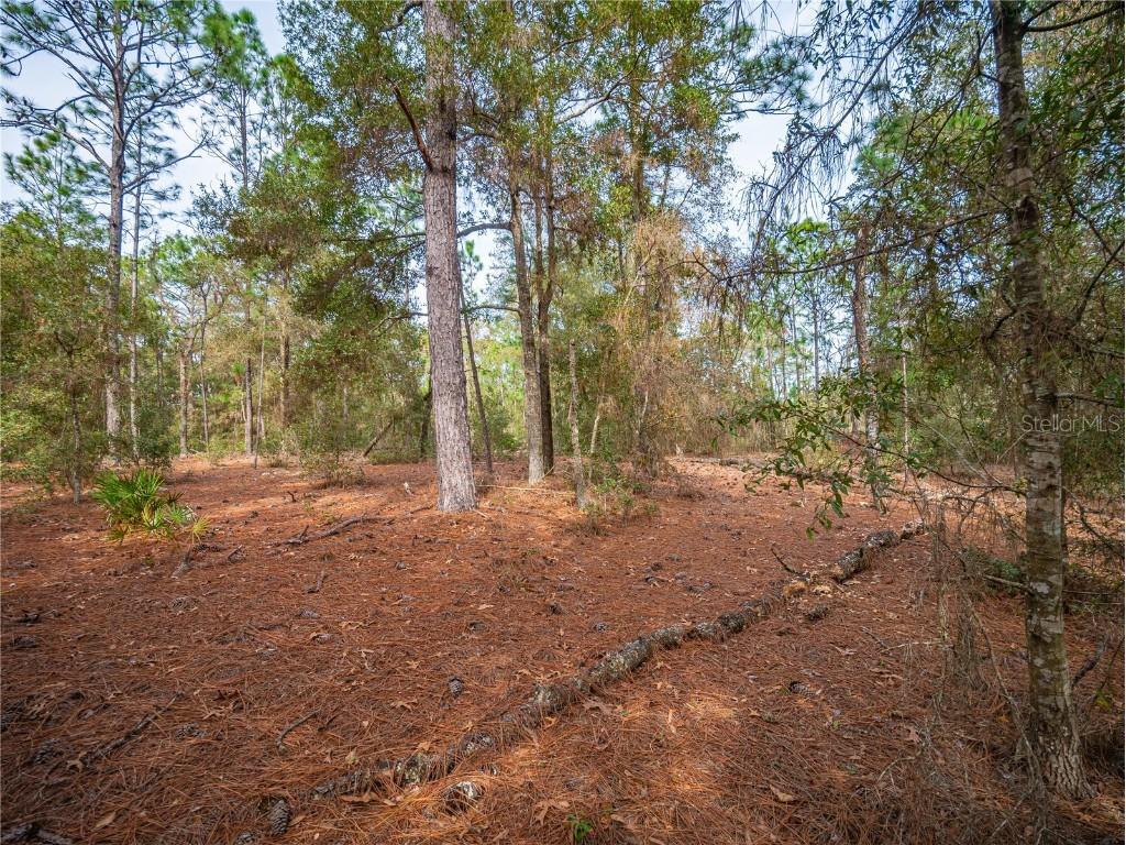 0 SW 154th Ct. Ocala FL 34481 L4941503 image1