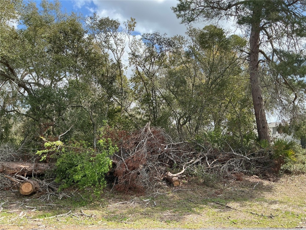 0 SW 154th Place Road Ocala FL 34473 OM698287 image1