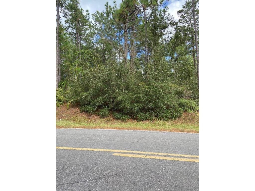 0 SW 155 Street SW Dunnellon FL 34432 TB8435167 image1