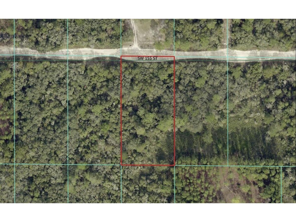 0 SW 155th Street Dunnellon FL 34432 OM710914 image1