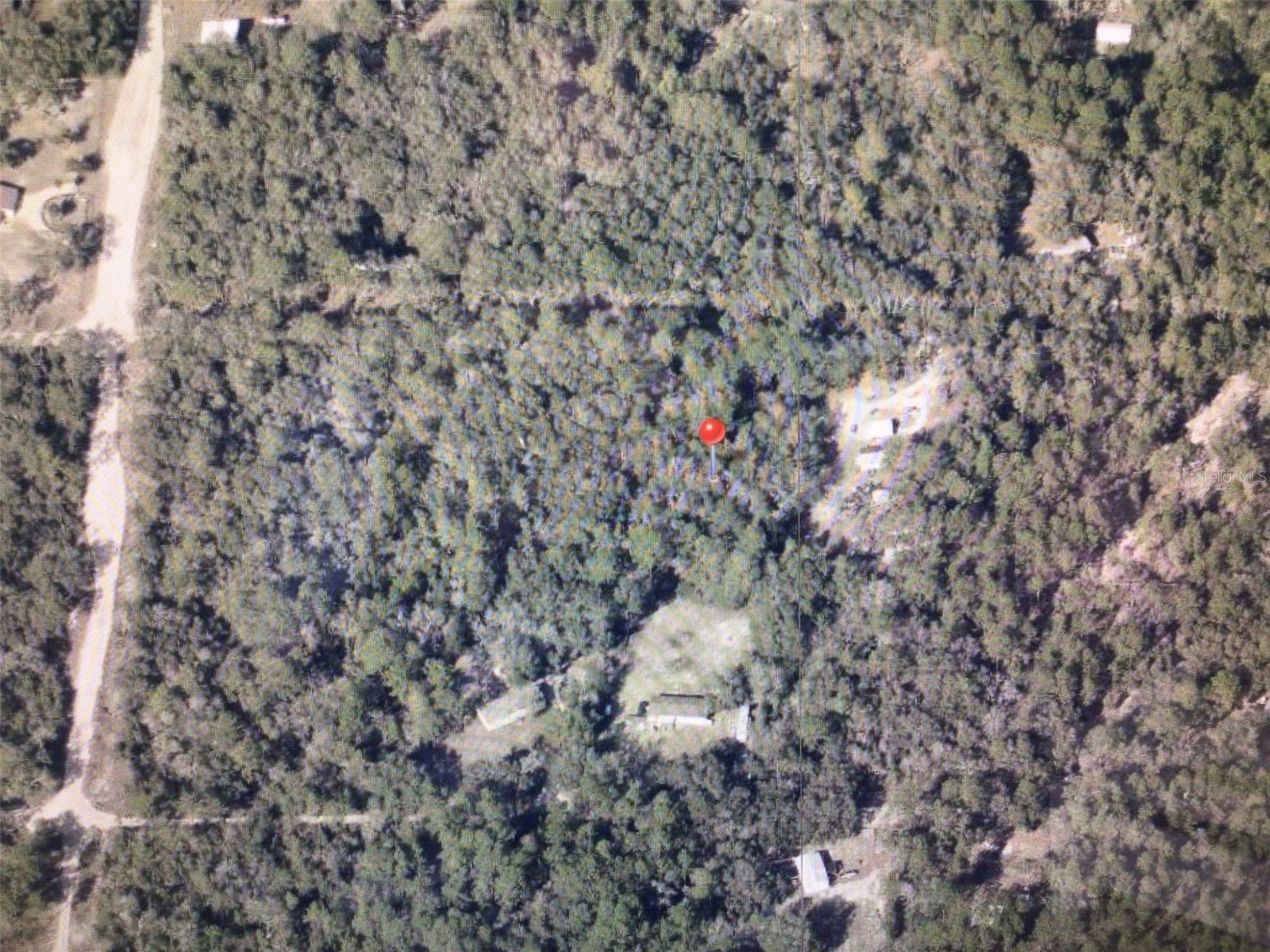 0 SW 156 Place Dunnellon FL 34432 OM725857 image5