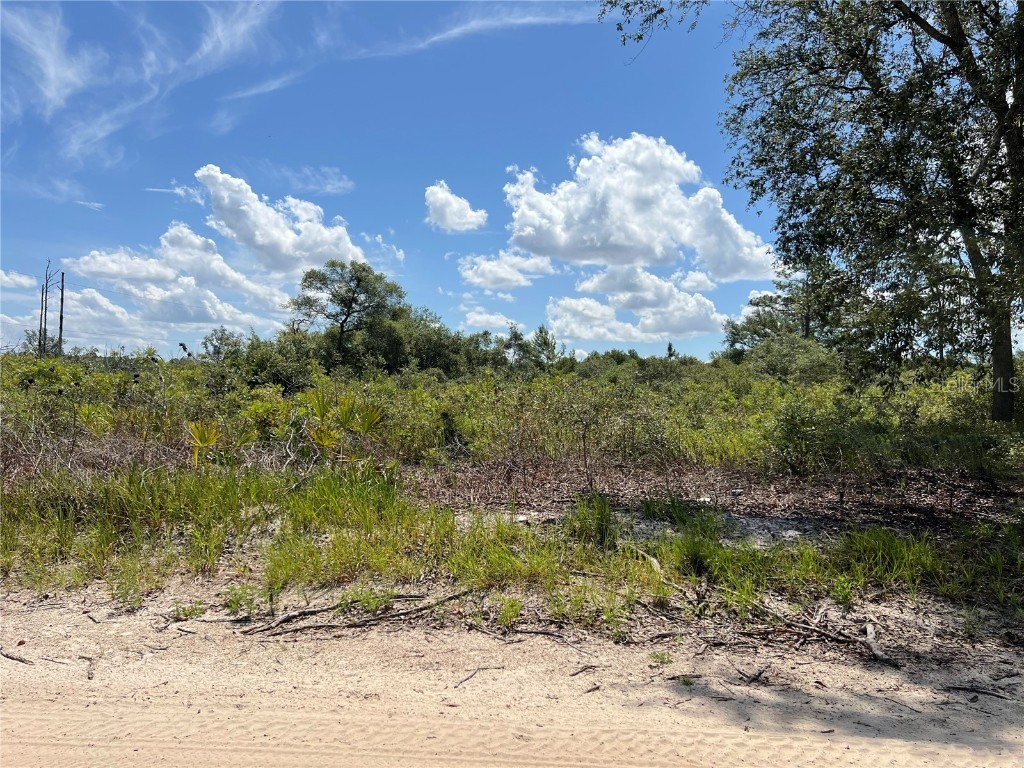 0 SW 157 Lane Dunnellon FL 34432 OM703836 image1