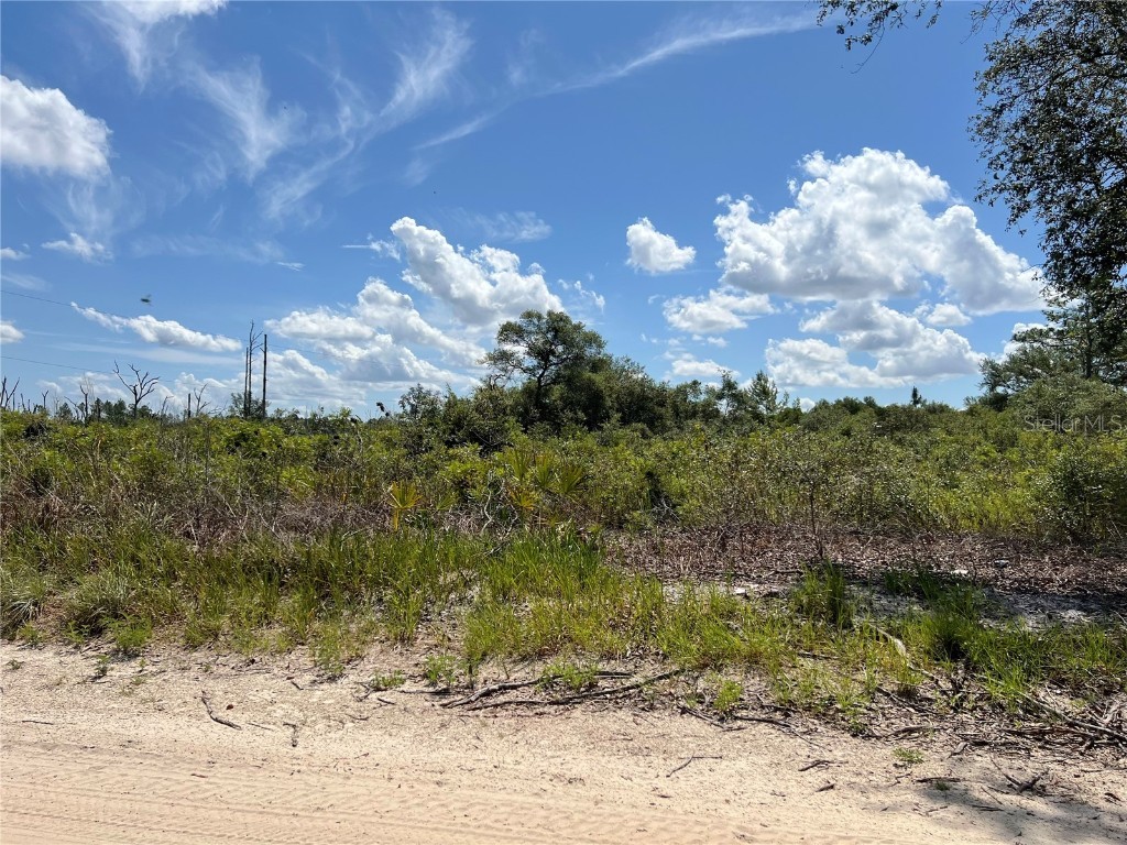 0 SW 157 Lane Dunnellon FL 34432 OM703836 image2