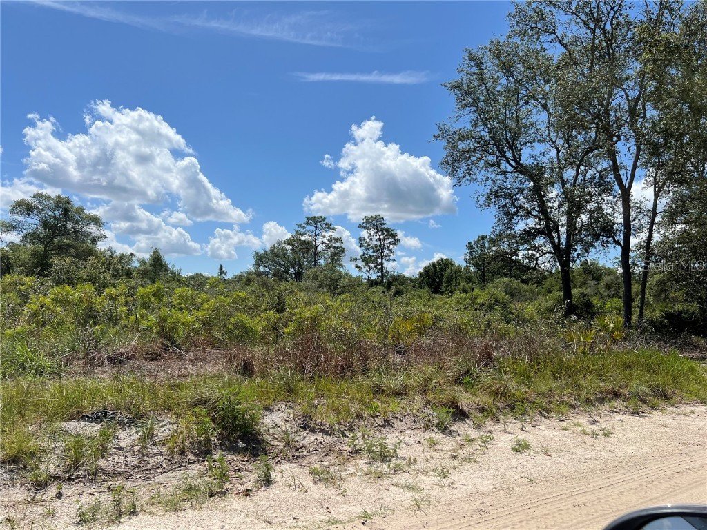 0 SW 157 Lane Dunnellon FL 34432 OM703836 image3