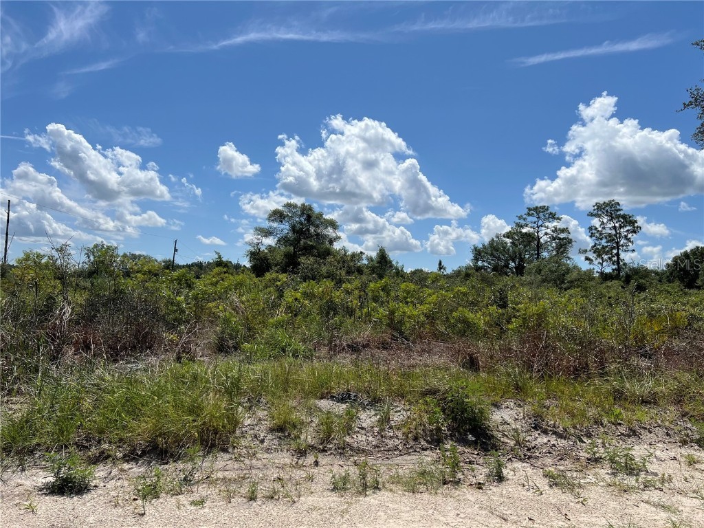 0 SW 157 Lane Dunnellon FL 34432 OM703836 image4