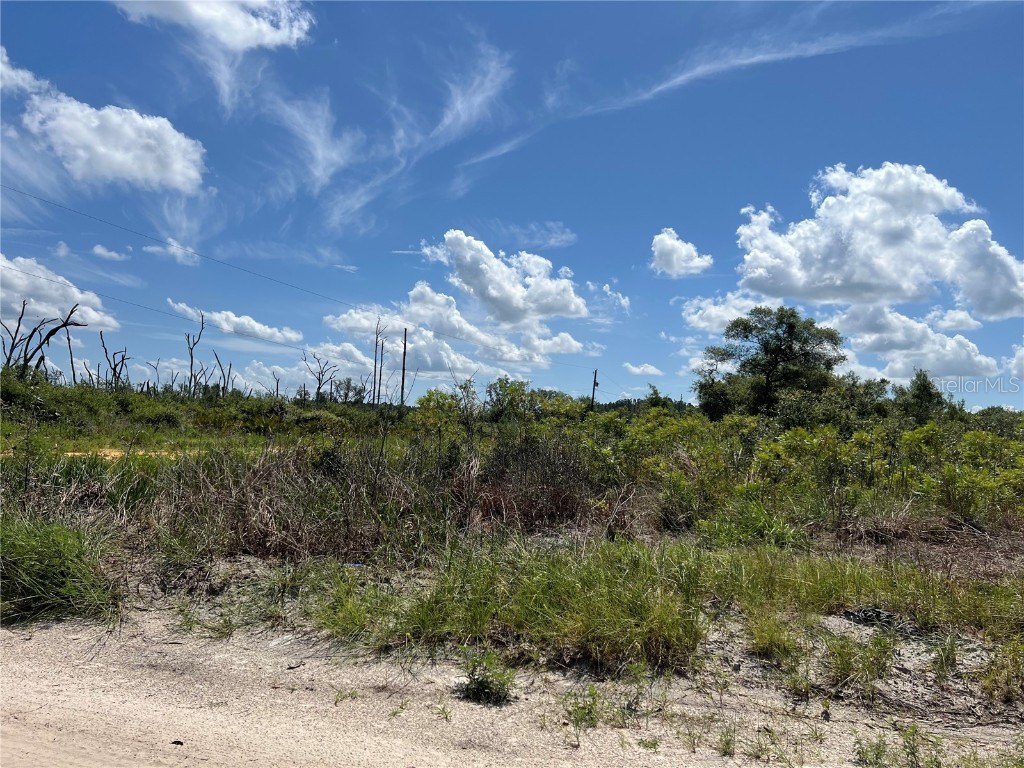 0 SW 157 Lane Dunnellon FL 34432 OM703836 image5
