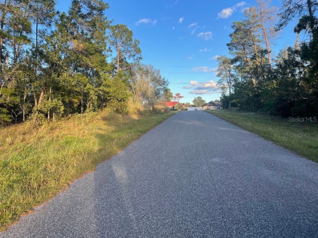 0 SW 157th Street Ocala FL 34473 OM701077 image3