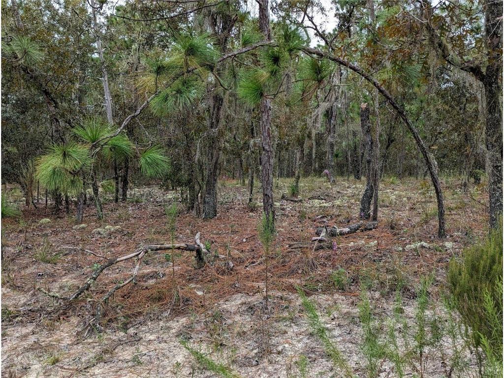 0 SW 158th Ct. Ocala FL 34481 OM665755 image1