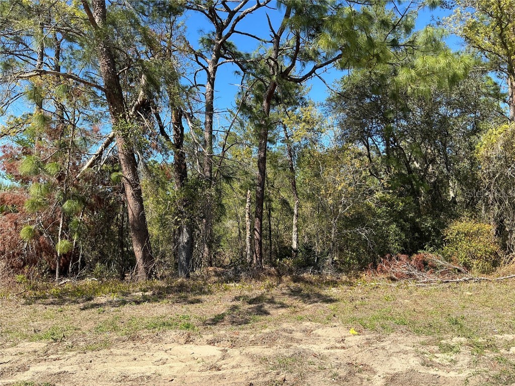 0 SW 159th Street Ocala FL 34473 OM700018 image1