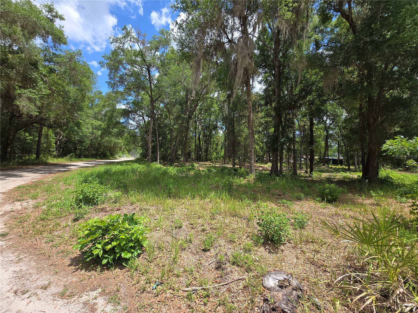 0 SW 15th Place Ocala FL 34481 S5149237 image1