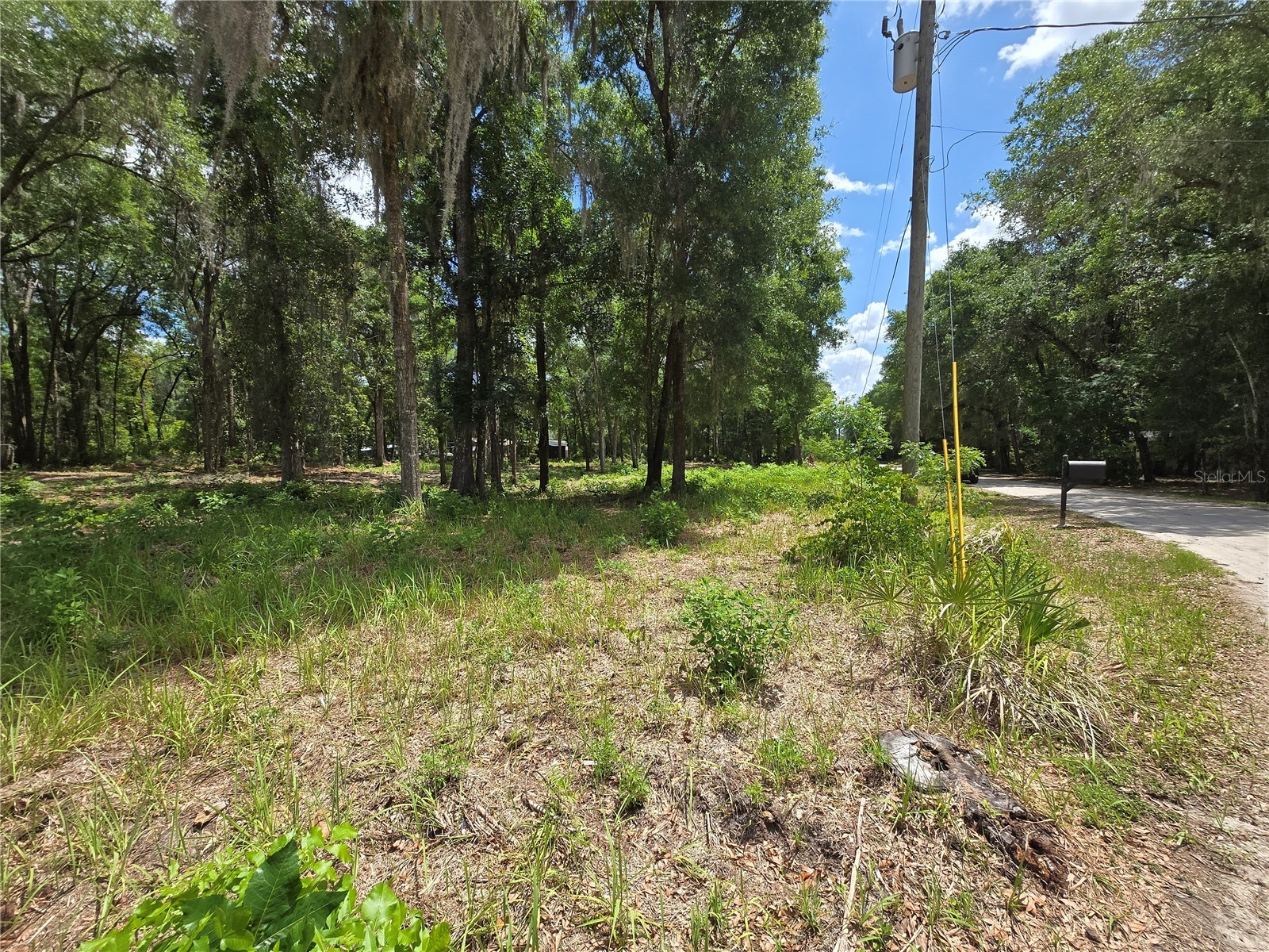 0 SW 15th Place Ocala FL 34481 S5149237 image2