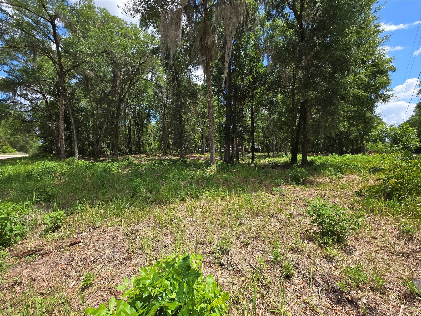 0 SW 15th Place Ocala FL 34481 S5149237 image3