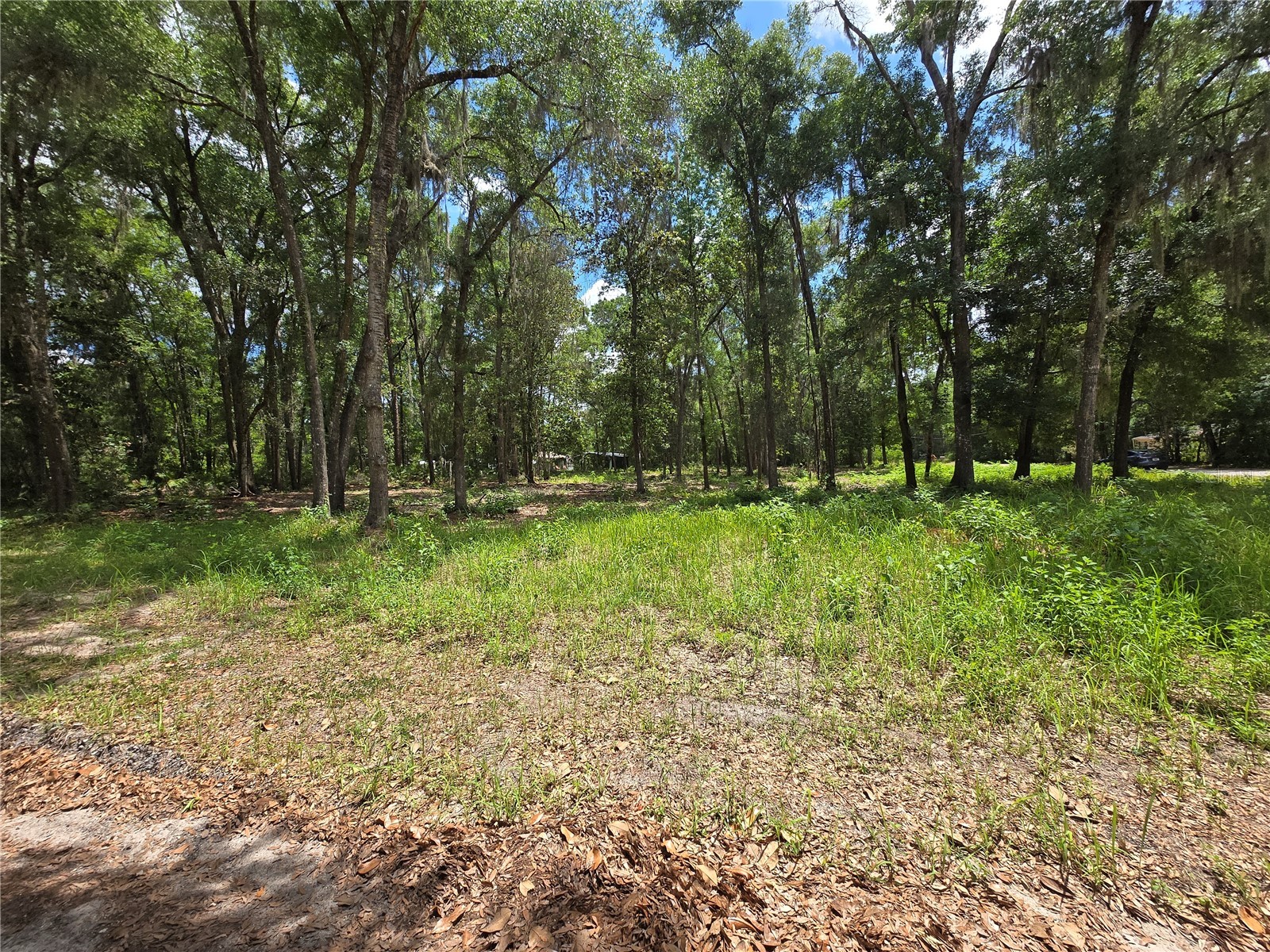 0 SW 15th Place Ocala FL 34481 S5149237 image4