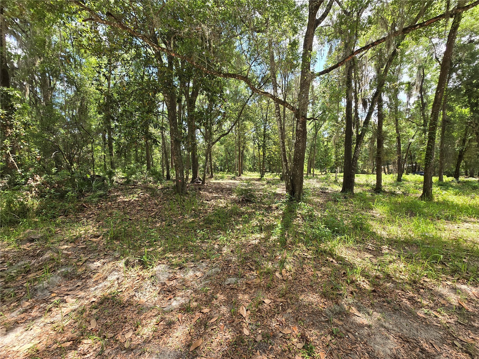 0 SW 15th Place Ocala FL 34481 S5149237 image5