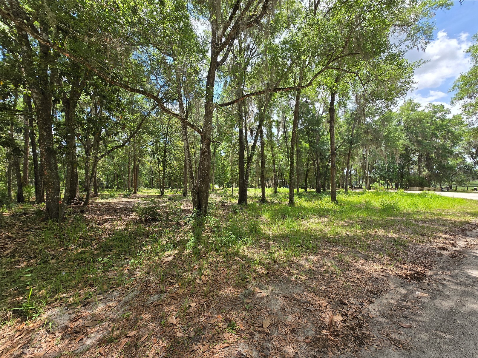 0 SW 15th Place Ocala FL 34481 S5149237 image6