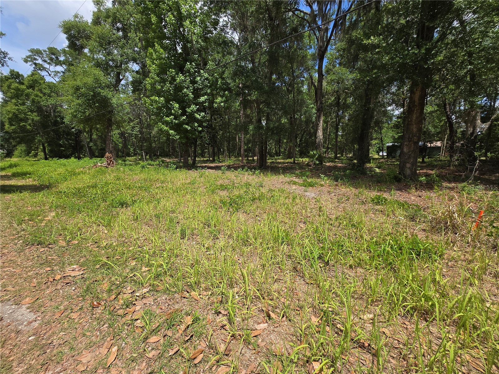 0 SW 15th Place Ocala FL 34481 S5149334 image1
