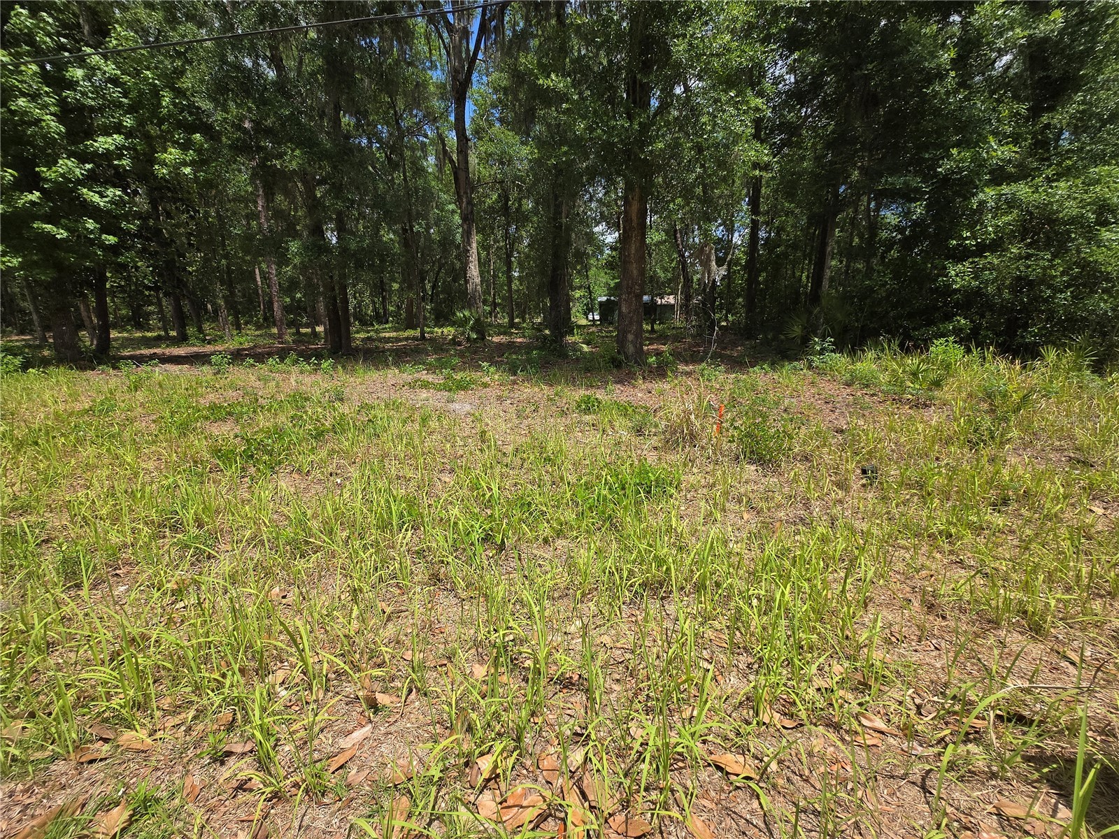 0 SW 15th Place Ocala FL 34481 S5149334 image2