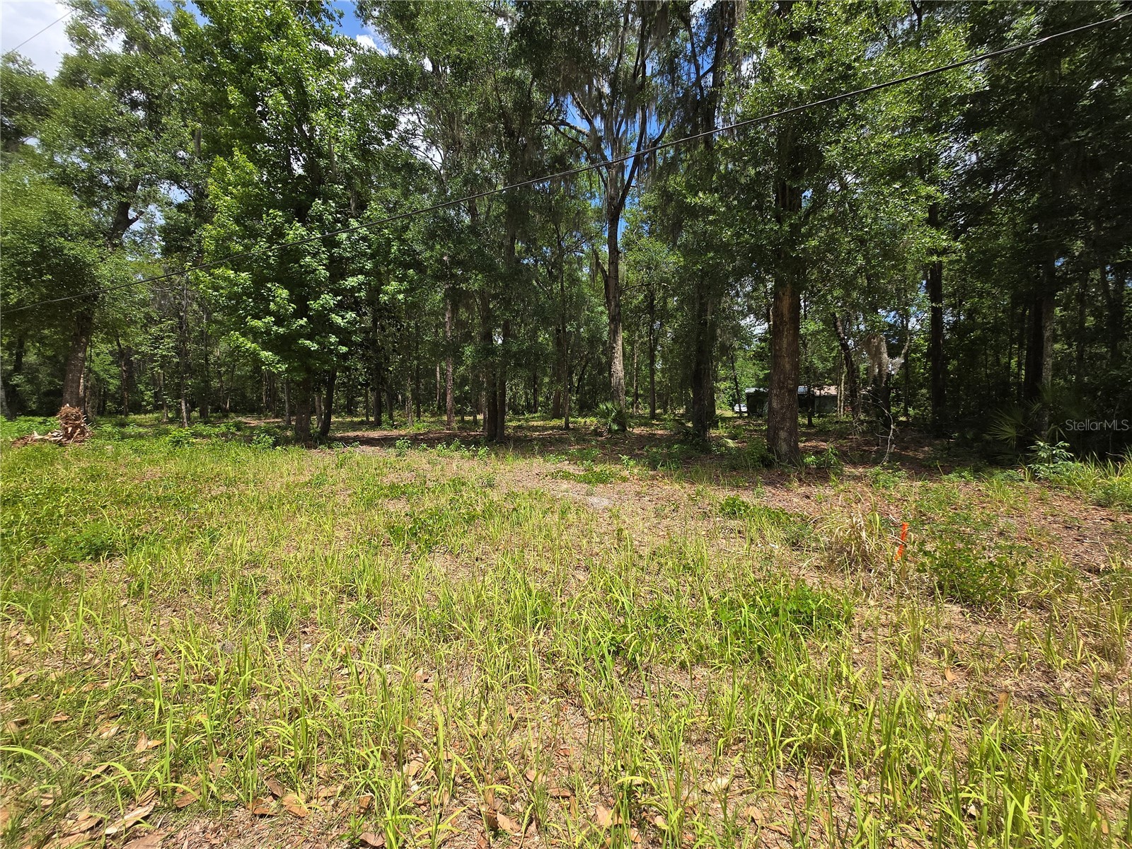 0 SW 15th Place Ocala FL 34481 S5149334 image3