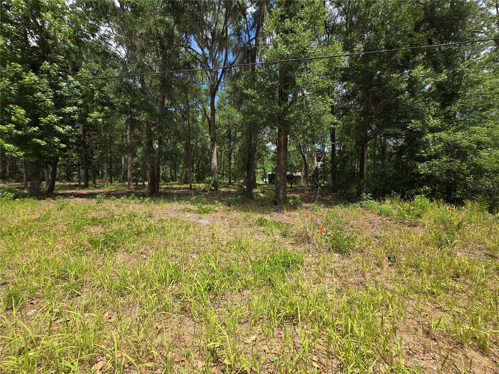 0 SW 15th Place Ocala FL 34481 S5149334 image4