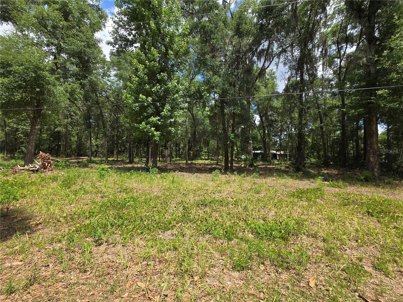 0 SW 15th Place Ocala FL 34481 S5149334 image5