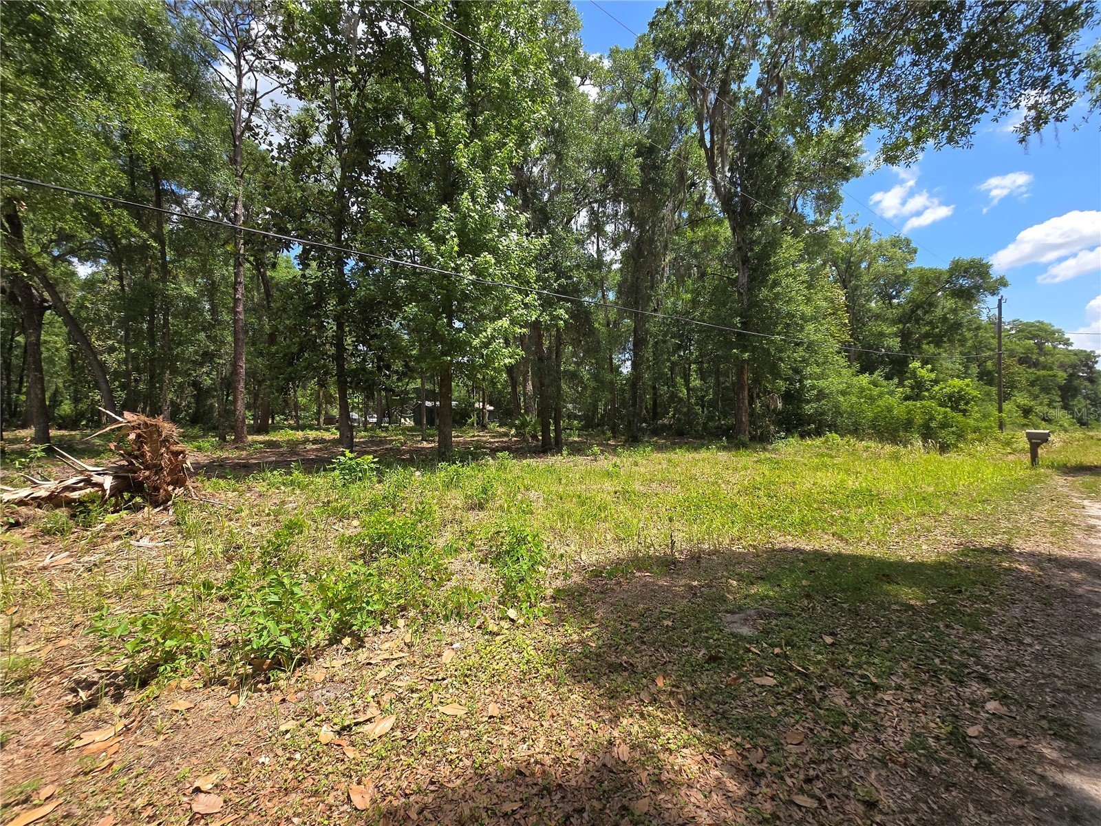 0 SW 15th Place Ocala FL 34481 S5149334 image6