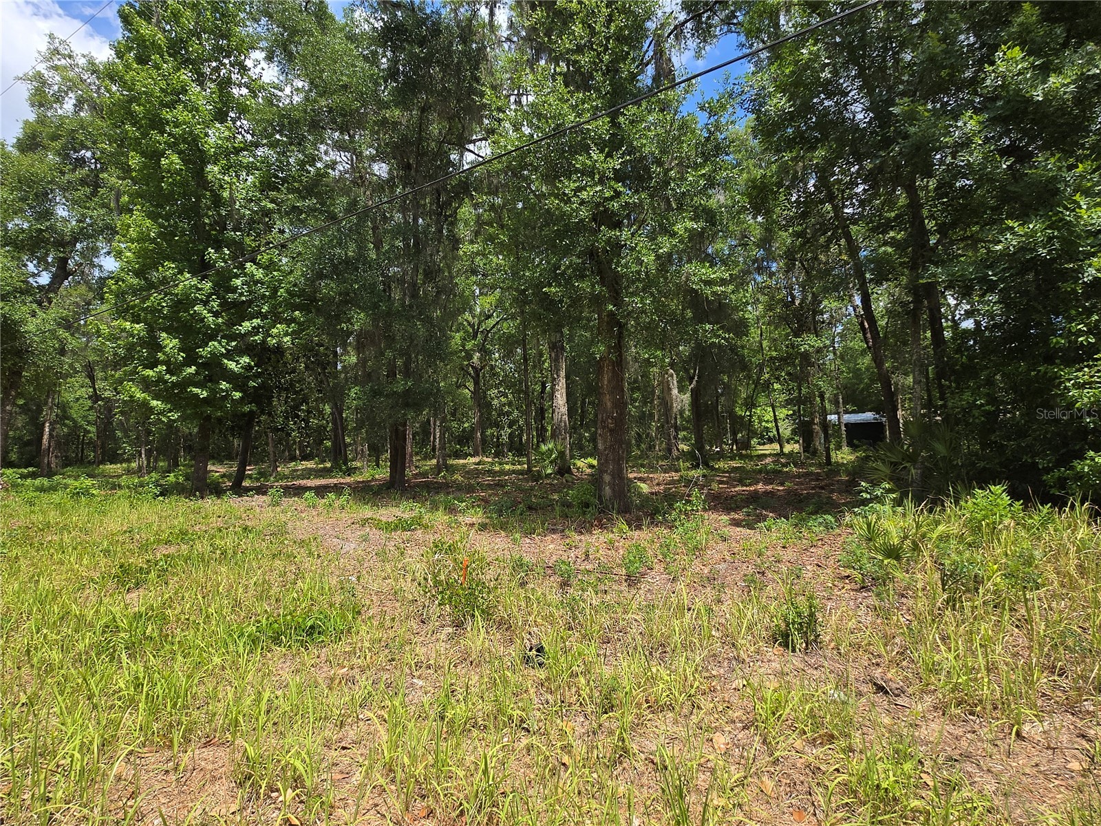0 SW 15th Place Ocala FL 34481 S5149343 image1