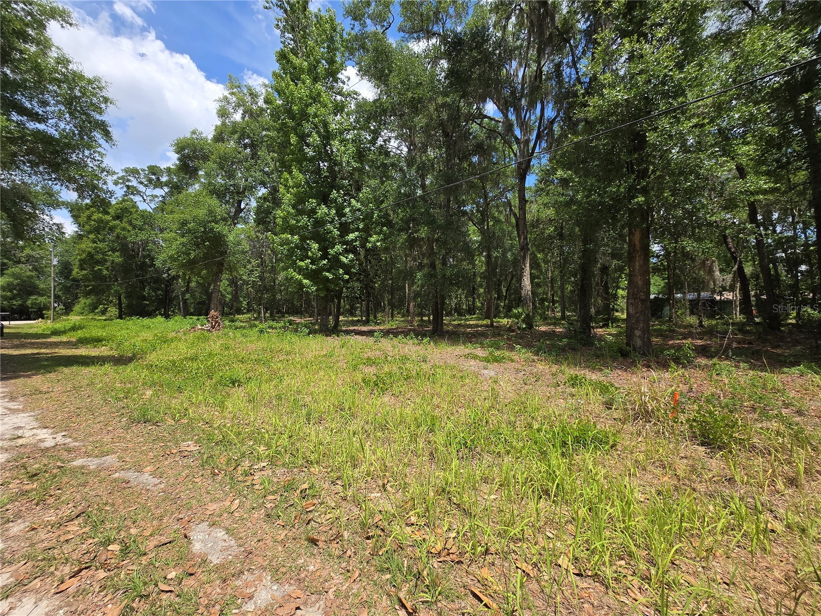 0 SW 15th Place Ocala FL 34481 S5149343 image2