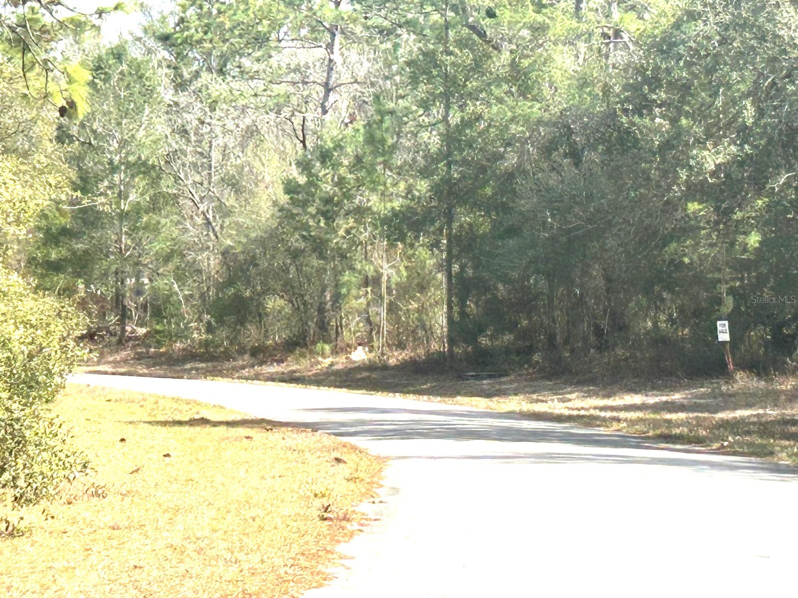 0 SW 163rd Street Road Ocala FL 34473 OM718962 image3