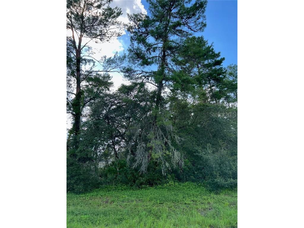0 SW 164th Street Road Ocala FL 34473 OM661644 image1