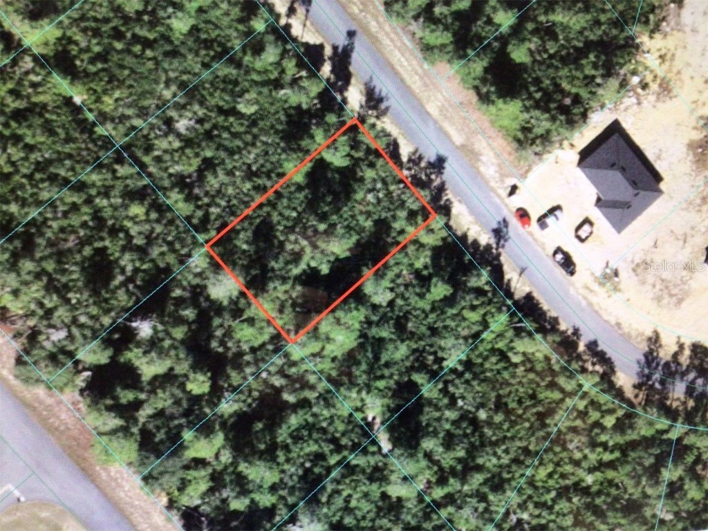 0 SW 165 Street Road Ocala FL 34473 OM673346 image1