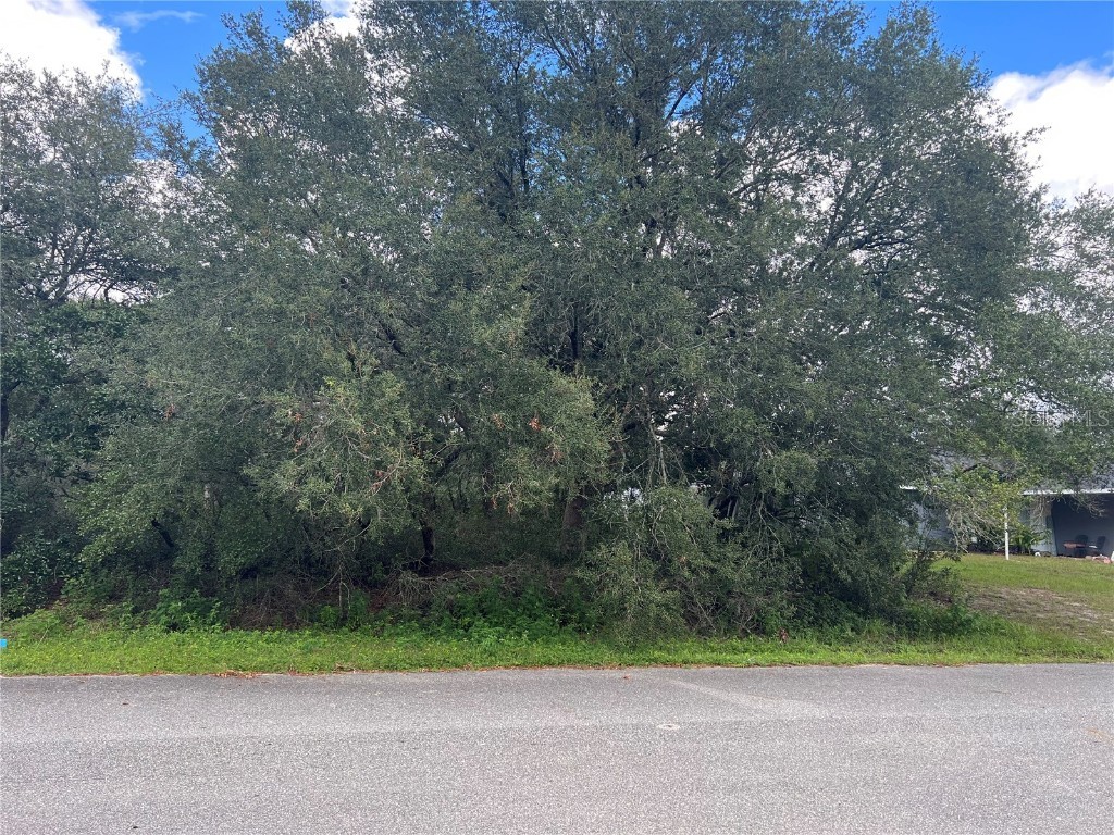 0 SW 165th Loop Ocala FL 34473 OM663740 image1