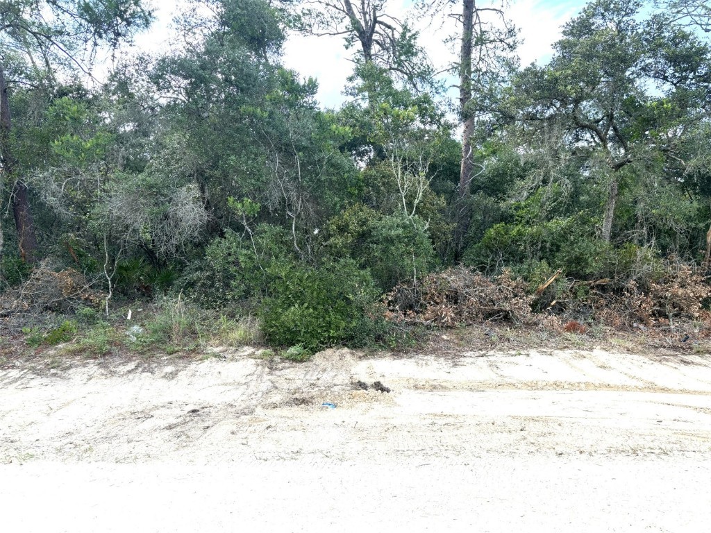 0 SW 167th Loop #3 Ocala FL 34473 OM680408 image1