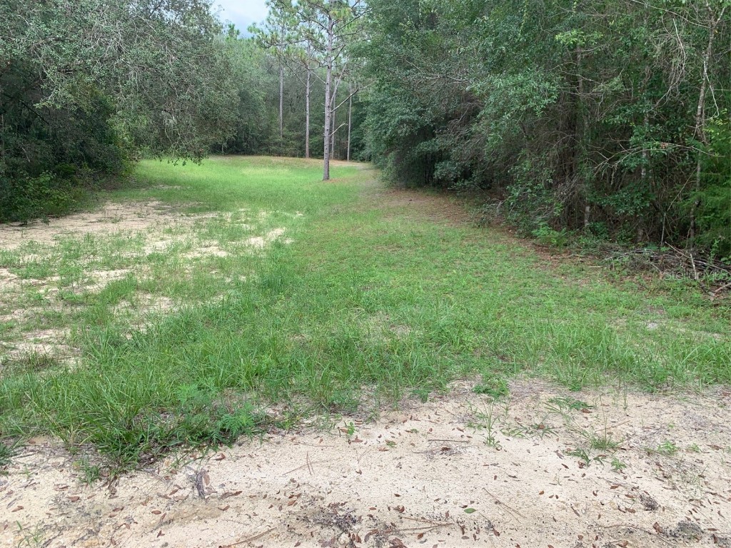 0 SW 168 Avenue Ocala FL 34481 OM663746 image1