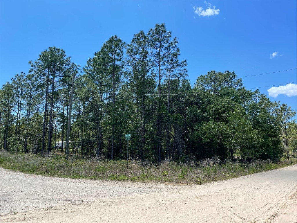 0 SW 168th Avenue Ocala FL 34481 OM639152 image1